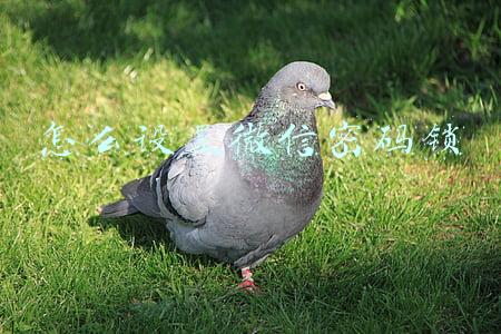 怎么设置微信密码锁