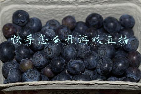 快手怎么开游戏直播