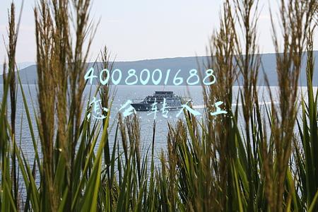 4008001688怎么转人工