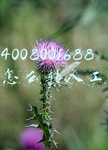 4008001688怎么转人工 4008001688怎么转人工
