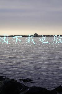 美团下载电脑版