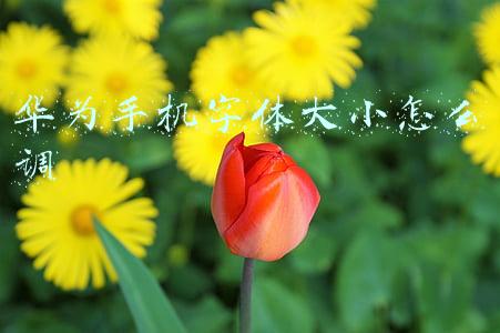 华为手机字体大小怎么调 华为手机字体大小怎么调