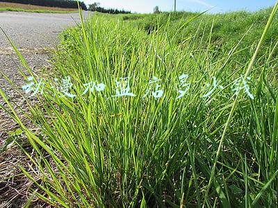 中方动漫加盟《中国名气最大的动漫品牌什么？加盟动漫店。》