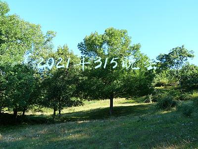 2021年315晚会