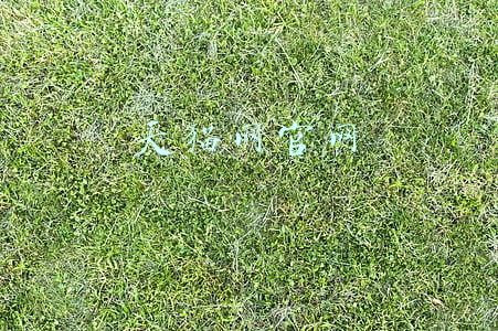 天猫网官网 天猫网官网