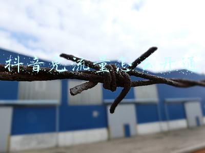 抖音免流量怎么开通 抖音免流量怎么开通