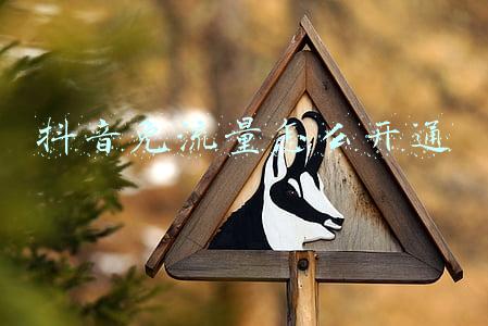 qq音乐免流量怎么开通(QQ 音乐可以免费听歌啦！这个新模式你知道吗？)