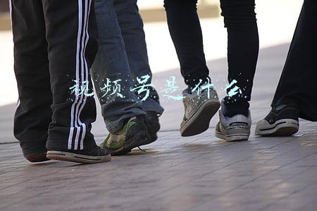 视频号是什么意思(微信视频号有哪些雷区不能碰，0基础必须知道的点)