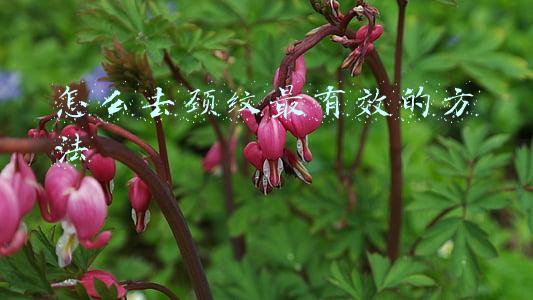 怎么才能去颈纹(淡化颈纹有妙招)