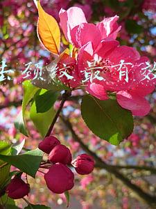 怎么去颈纹最有效的方法