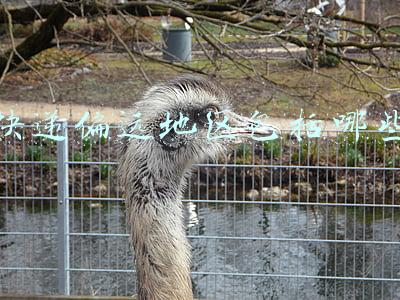 快递偏远地区包括哪些 快递偏远地区包括哪些