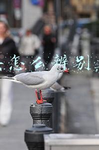 迪奥怎么辨别真伪