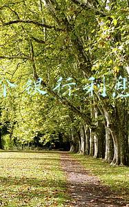 那个银行利息高