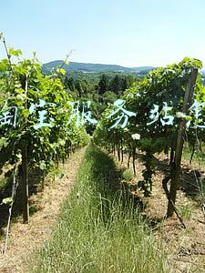 如何开农村淘宝服务站(「金洲鹏」农村淘宝的前景如何？小白卖家可以做吗？)