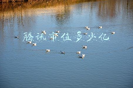 腾讯市值多少亿