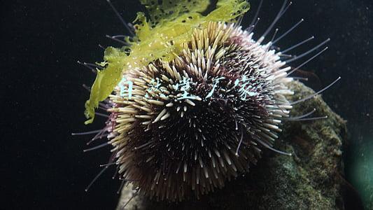 自然堂厂家 自然堂厂家