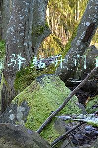 学校菜鸟驿站开门时间(食堂吃饭怎么吃？快递、外卖还有吗？校园准封闭管理期你最关心的十个问答来了)