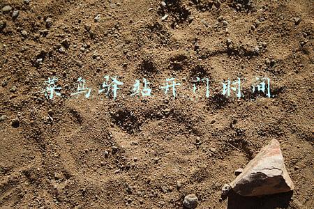 菜鸟驿站开门时间查询(菜鸟驿站宣布双11延长营业时间 3万驿站将开到晚上11点)