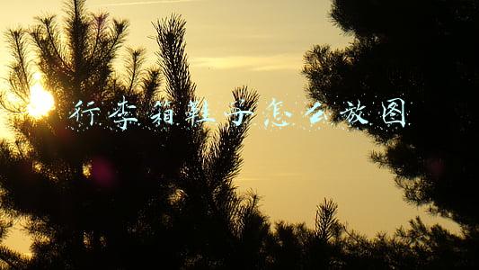 行李箱鞋子怎么放图