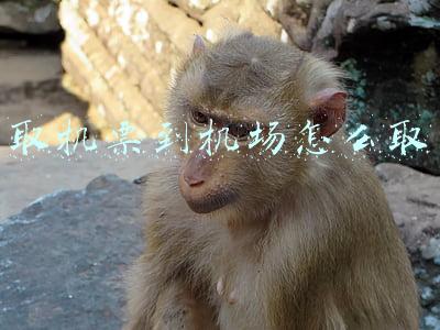 取机票到机场怎么取