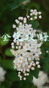 基金定投好吗