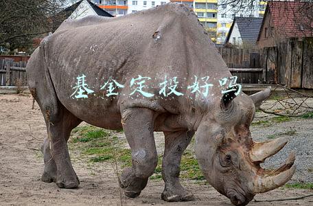 基金定投好吗