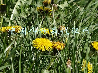 中国化妆品代理网 中国化妆品代理网