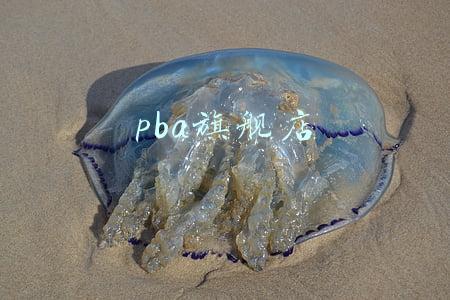pba旗舰店