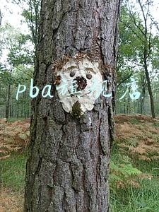 pba旗舰店 pba旗舰店