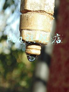 pba旗舰店 pba旗舰店