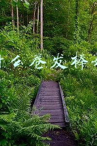 什么卷发棒好 什么卷发棒好