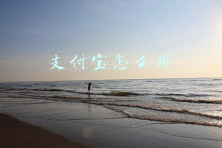 支付宝怎么用 支付宝怎么用