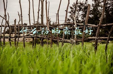 什么防晒霜最好