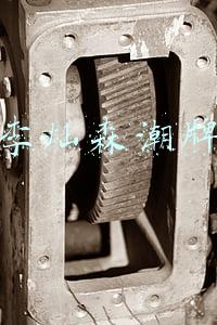 李灿森潮牌