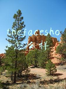 thefaceshop金盏花(盘点经济实惠的保湿精华液)