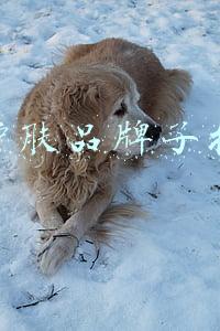 韩国护肤品牌子排行榜