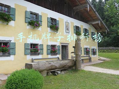 手机牌子排行榜