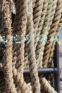 手机挖矿赚钱app