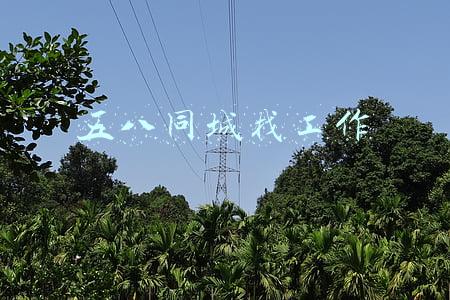 五八同城找工作