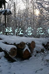 2021年营业执照经营范围明细(2021年8月第五批次营业执照登记信息公示 (共22个))