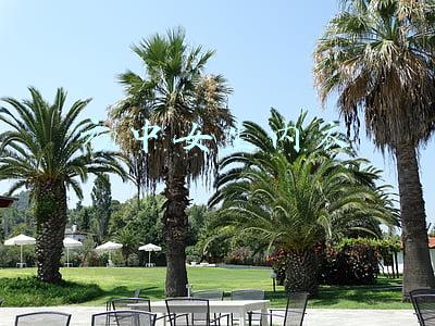 初中女生内衣应该买哪种好(调查｜浅色校服，厕位没门，难买卫生用品！别让青春期前移的孩子难为情)