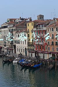 优惠券怎么读 优惠券怎么读