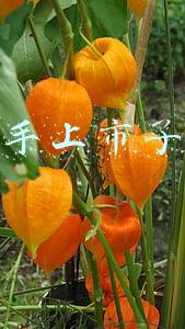快手上市了吗