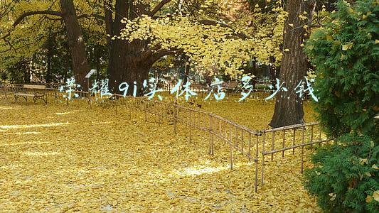 荣耀9X线下实体店会不会价格低一些？（荣耀9X实体店比官网便宜）