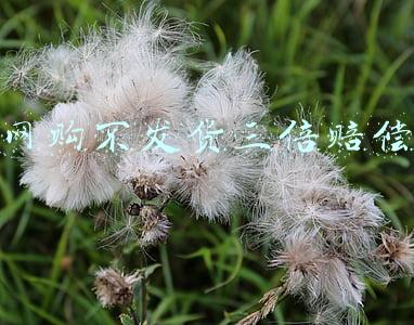 网购虚假发货怎么赔偿(“尾款人”注意啦！遭遇虚假发货，这份维权攻略要收好)