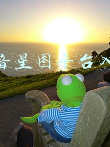 抖音星图平台入口