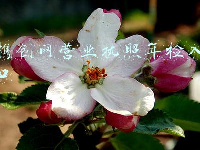 携创网营业执照年检入口