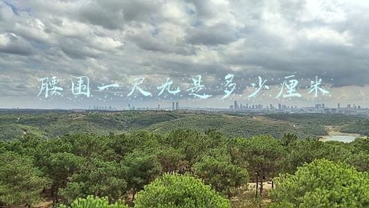 腰围一尺九是多少厘米 腰围一尺九是多少厘米