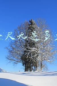 腰围一尺九是多少厘米 腰围一尺九是多少厘米