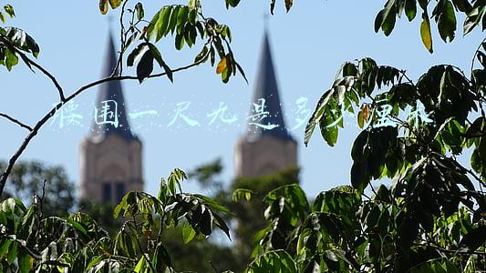 一尺九的腰围是多少(青梅竹马之苏家兄妹和他一起长大，长大后苏凝和他恋爱了（上）)